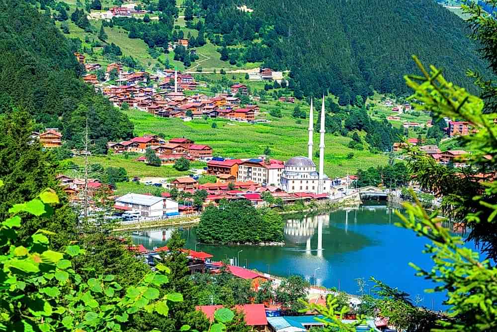 TRABZON ŞUBESİ